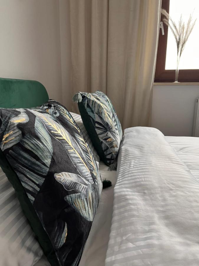 Апартаменти Apartament Reymonta Park Пйотркув-Трибунальський Екстер'єр фото
