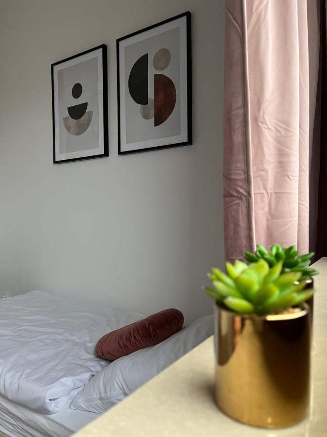 Апартаменти Apartament Reymonta Park Пйотркув-Трибунальський Екстер'єр фото